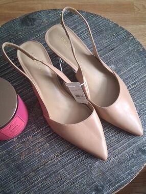 Ann Taylor Factory Nude Pointed-Toe Slingback Heels